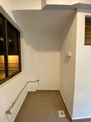 Cavenagh Lodge (D9), Apartment #533892591